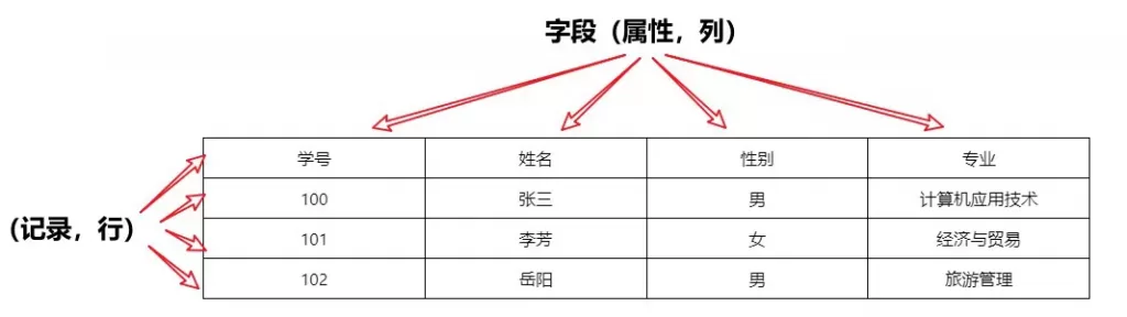 数据库字段